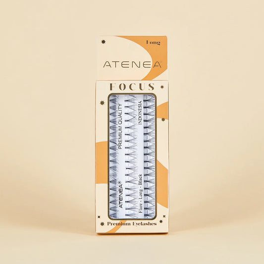 PESTAÑAS PUNTO A PUNTO